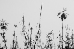 photographe-lifestyle-montpellier-herault-occitanie