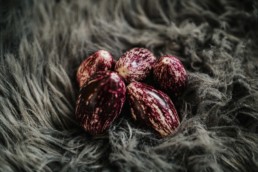 photographe-culinaire-végétale-montpellier-paris