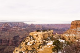 différents couleurs du grand canyon sous la neige
