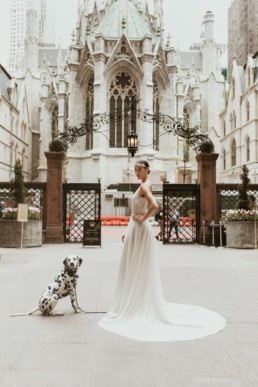 mariée dans la cour d'un palace avec un chien dalmatien a new york devant la cathédrale saint patrick de manhattan