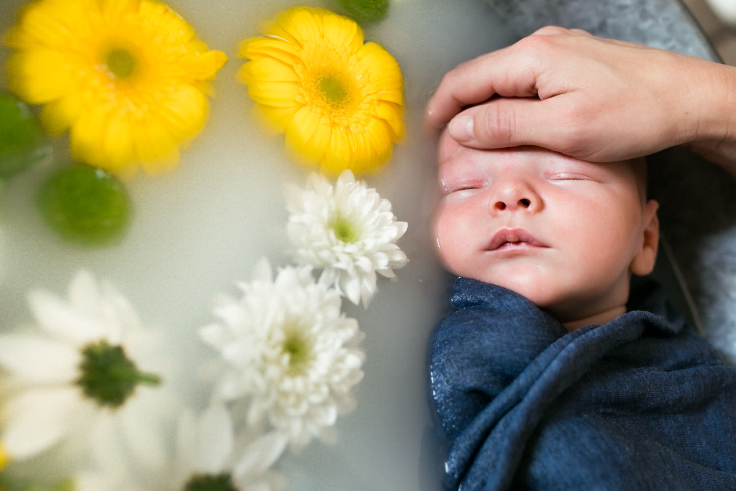 Photographe professionnel naissance bain de lait enveloppé bébé