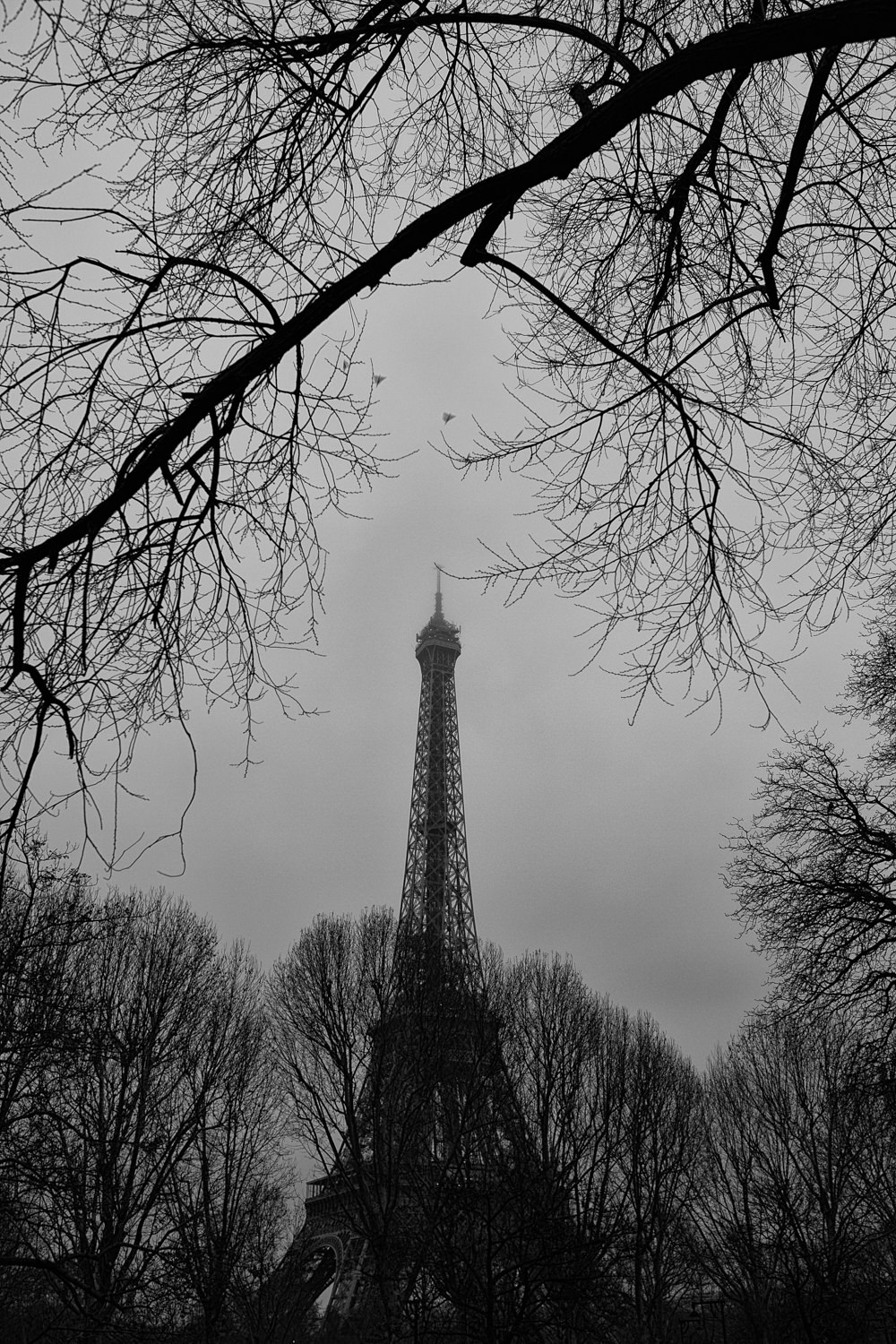 Tirage photo Tour Eiffel noir et blanc